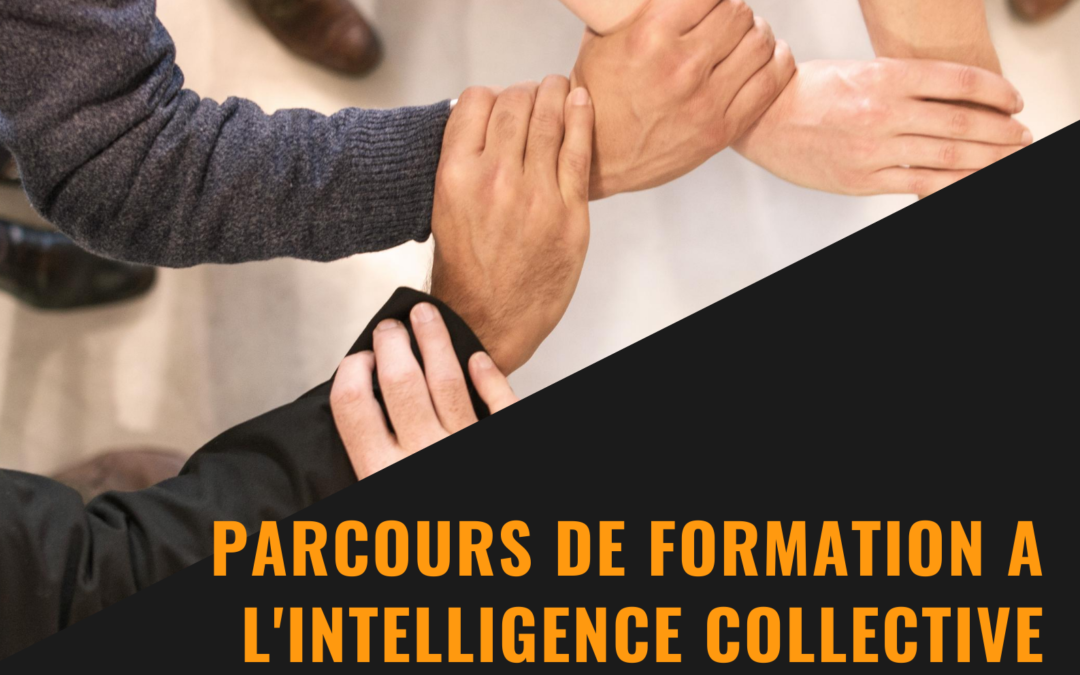 Nouveau parcours de formation : l’intelligence collective