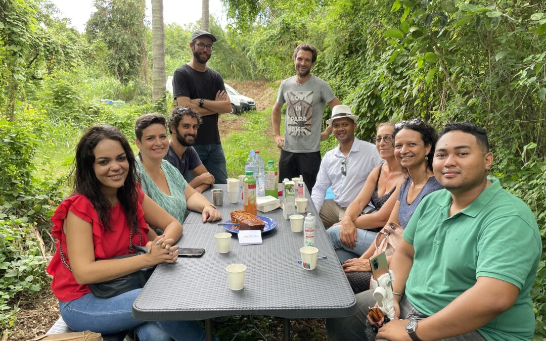 Atelier « Découverte du monde des abeilles » de Bee Run Apiculture